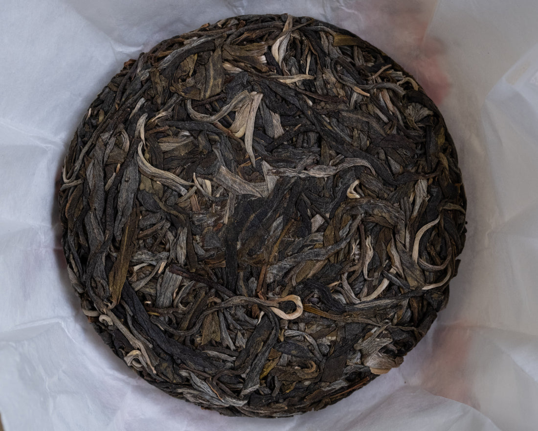 2025 Laobanzhang Sheng Pu'er, Ancient Trees Stone - pressed cake - Eastern Leaves