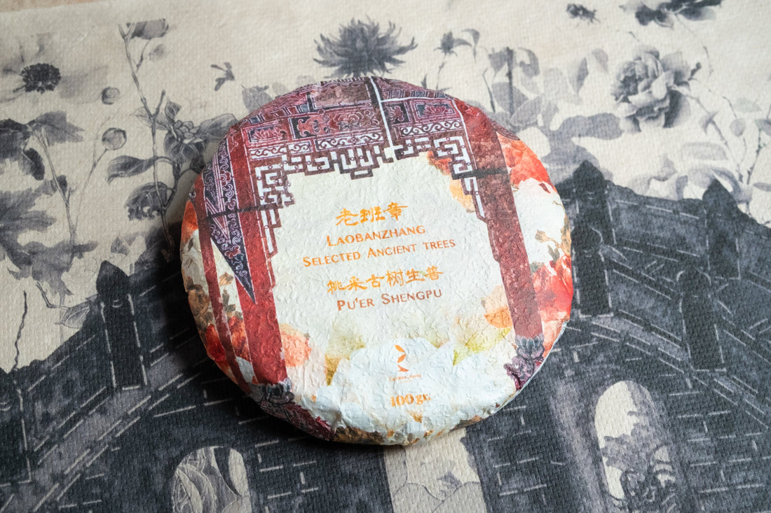 2025 Laobanzhang Sheng Pu'er, Selected Ancient Trees Stone - pressed cake - Eastern Leaves