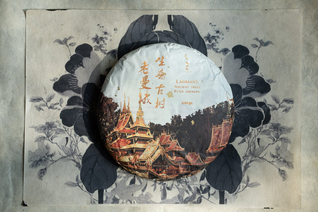 2025 Laoman'e Sheng Pu'er, Ancient Trees Stone - pressed cake - Eastern Leaves