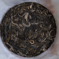 2025 Laobanzhang Shengpu ancient trees pu'er tea gushu cha