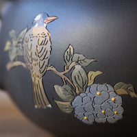 Jianshui Teapot -Bulbul Songbird 白头鹎