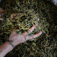 Tea Club - Season 2, Chapter 4: Red Tea 红茶