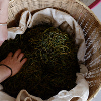 Tea Club - Season 2, Chapter 4: Red Tea 红茶