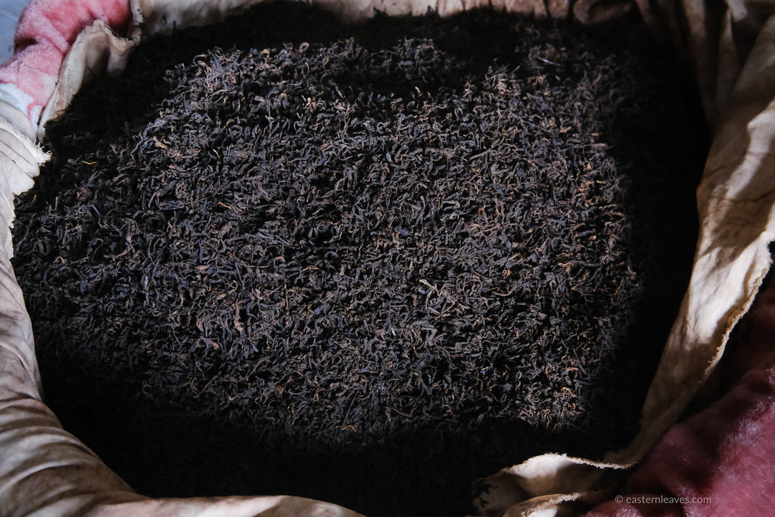 Tea Club - Season 2, Chapter 1: Shupu 熟普洱 - Eastern Leaves