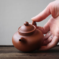Lianzi 莲子 - Yixing teapot, Jiangponi red clay