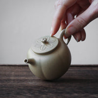 Pu ti 菩提 - Yixing Teapot in Benshanluni green clay