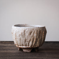 White Elephant - 120 ml Dai cup