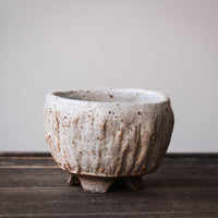 White Elephant - 120 ml Dai cup