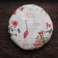 Le Sei Antiche Montagne 古六大茶山 - Tè Pu'er Sheng di primavera 2025