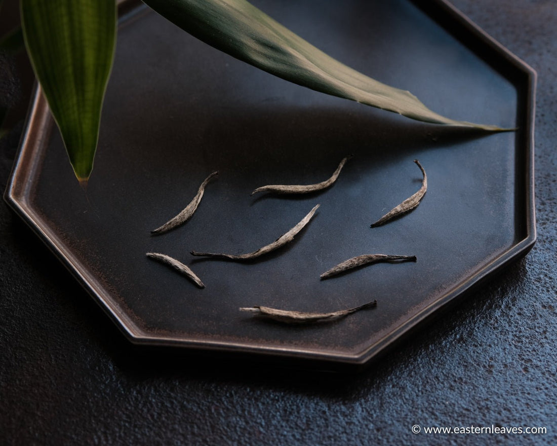 Bai Hao Yin Zhen - Silver Needle White Tea - Eastern Leaves