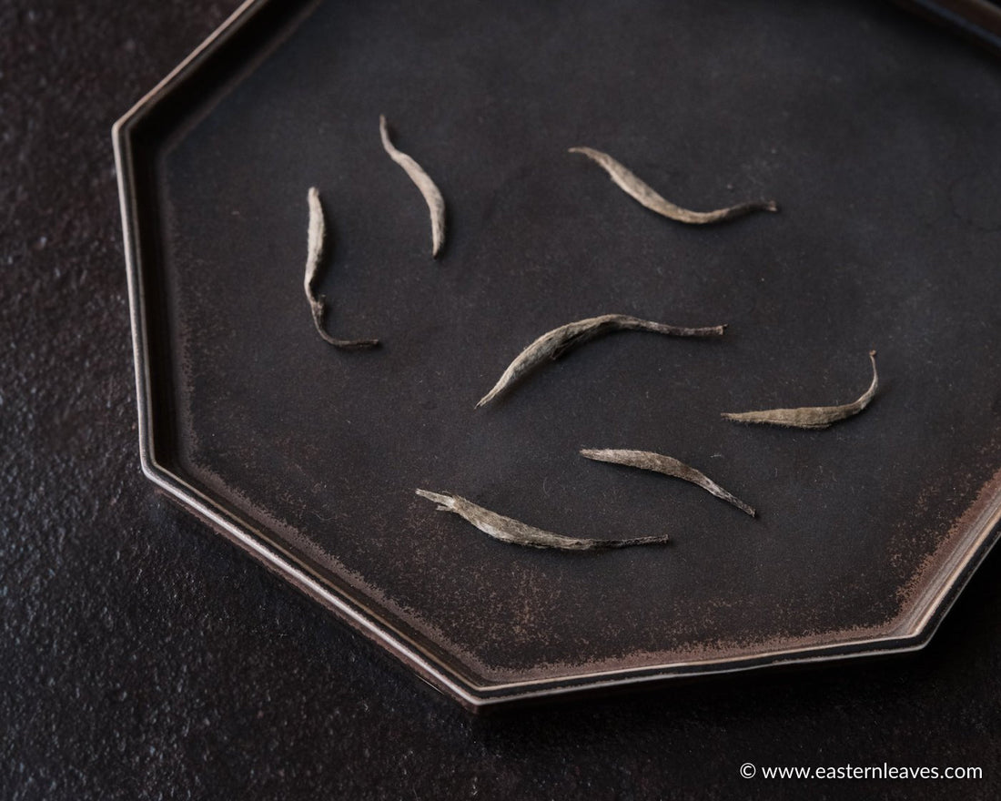 Bai Hao Yin Zhen - Silver Needle White Tea - Eastern Leaves