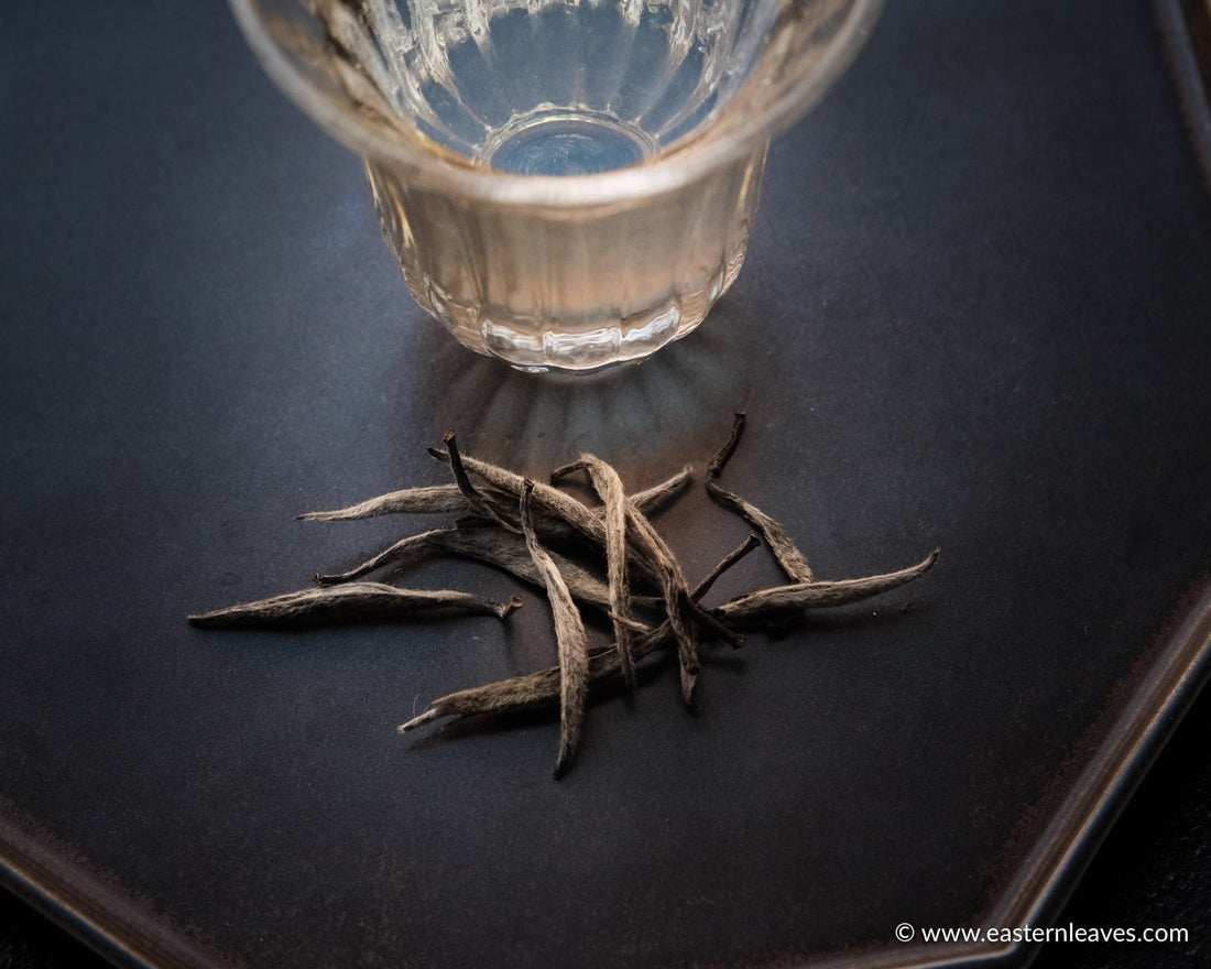 Bai Hao Yin Zhen - Silver Needle White Tea - Eastern Leaves