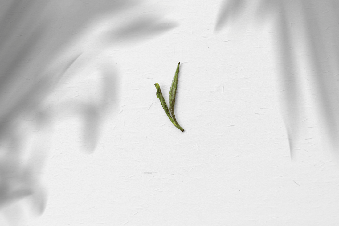 Huangshan Maofeng 黄山毛峰 - Green Tea - Eastern Leaves