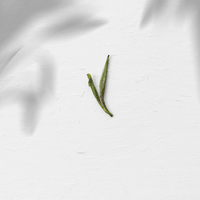 Huangshan Maofeng 黄山毛峰 - Green Tea - Eastern Leaves