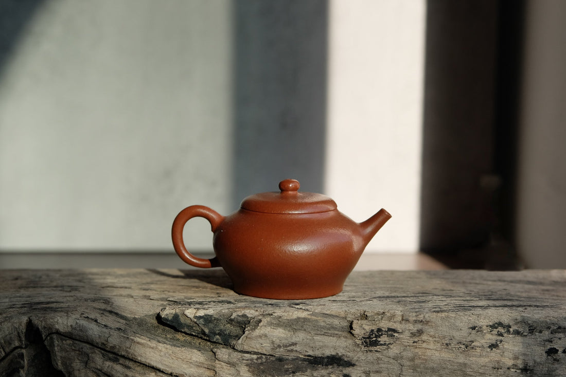 Jigu 汲古 - mini-yixing in Zhuni Red Clay - Eastern Leaves
