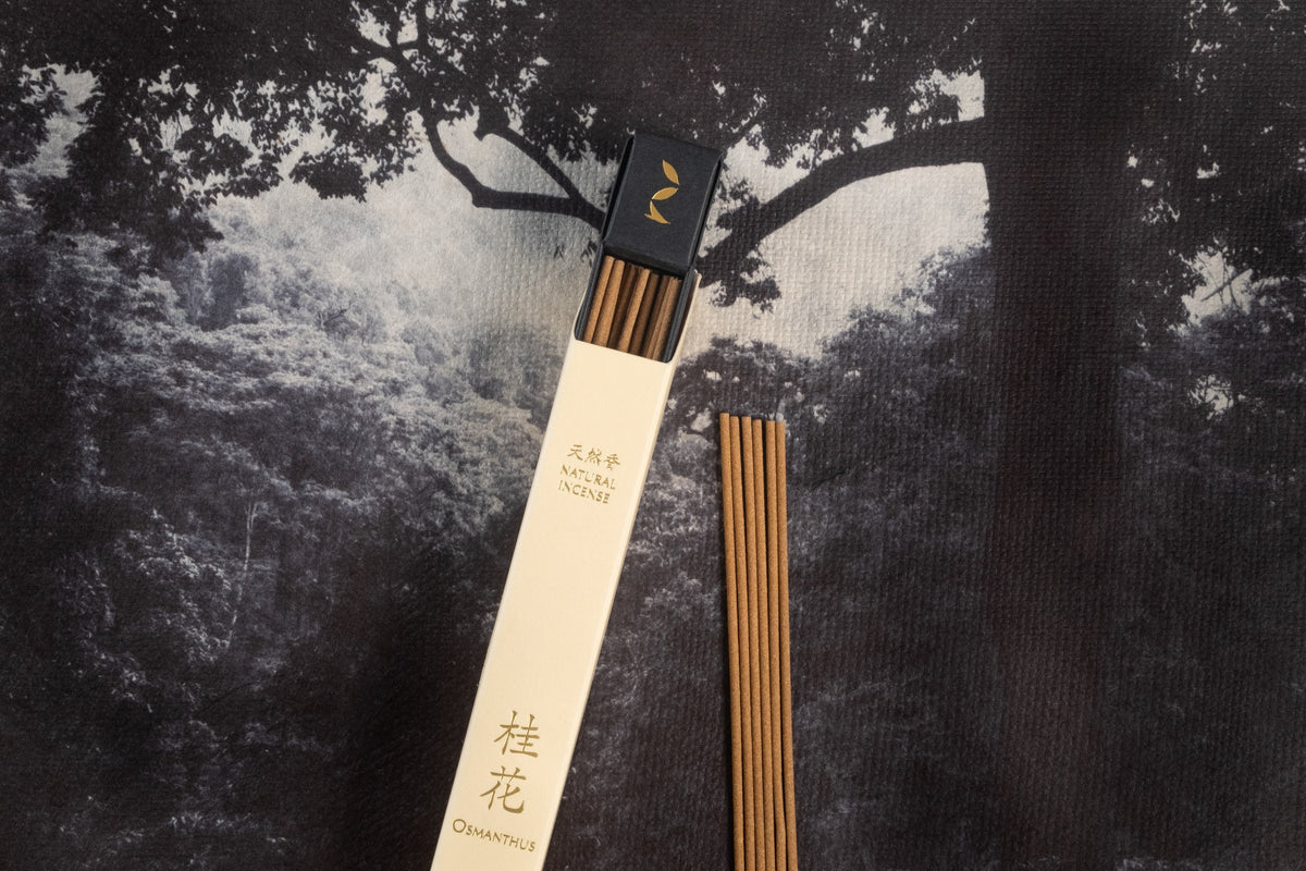 Osmanthus 桂花 - Natural Chinese incense – Eastern Leaves