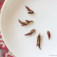 Ziya Yabao 芽苞 - Purple variety White Tea Buds - Eastern Leaves