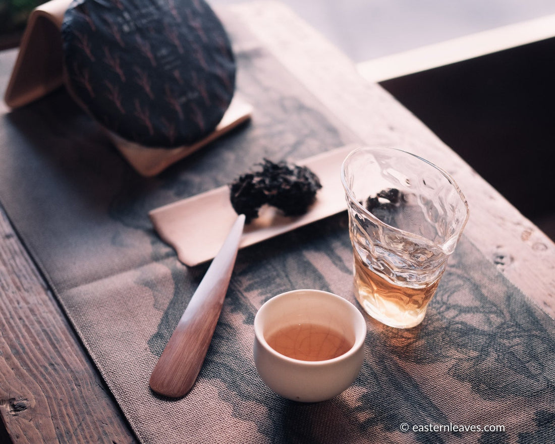 pu'er shengpu tea cake and brick from nannuo mountain, Yunnan, 2008 harvest vintage aged, brewed in glass pitcher with white ceramic cup