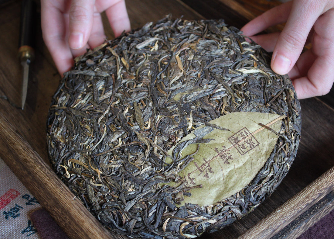 2020 Bohetang Shengpu 薄荷塘 - Yiwu Terroir - Eastern Leaves
