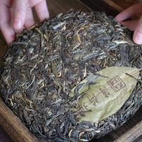 2020 Bohetang Shengpu 薄荷塘 - Yiwu Terroir - Eastern Leaves