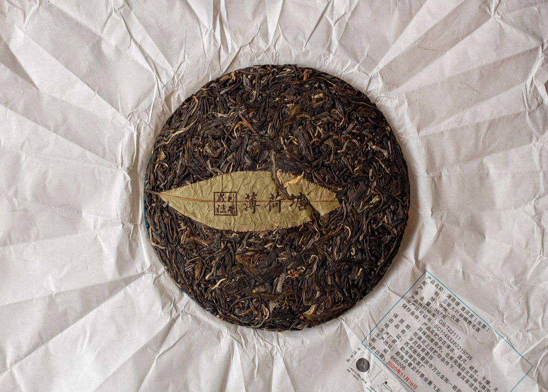 2020 Bohetang Shengpu 薄荷塘 - Yiwu Terroir - Eastern Leaves