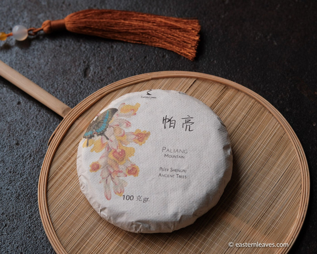 Paliang mountain pu'er shengpu in pressed cake, from Yunnan, China, with bamboo tray. 2021 spring harvest vintage