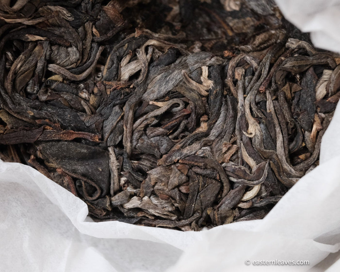 Pu'er Sheng di Paliang 2021, Tè di Alberi Antichi pressato a pietra