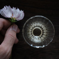 Longjing from Xihu Meijiawu, Chinese green tea pre-qingming infused in glass cup with white, pink and purple flower