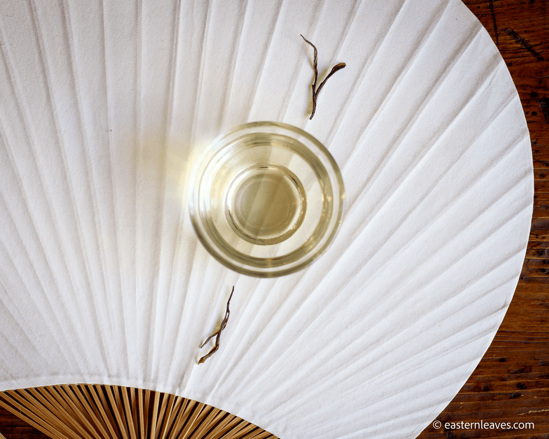 2022 Bug-bitten Huangdacha 虫咬黄大茶 - Yellow Tea - Eastern Leaves