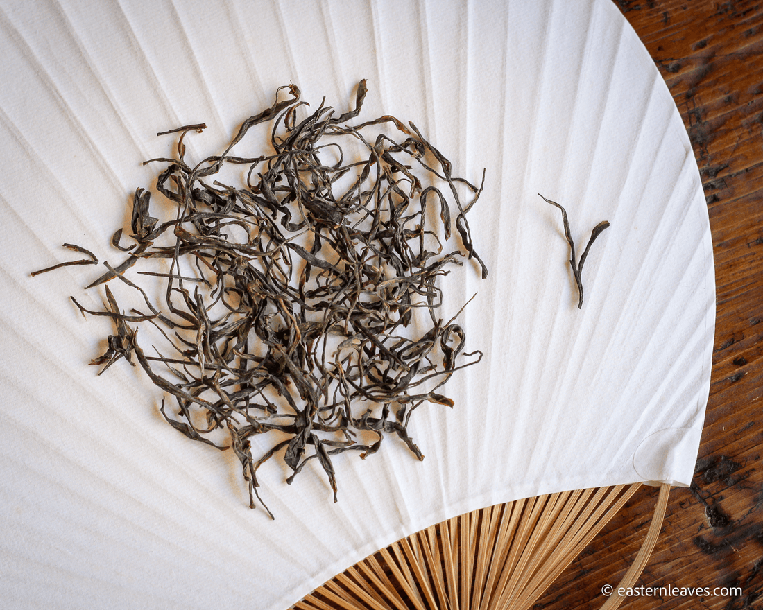 2022 Bug-bitten Huangdacha 虫咬黄大茶 - Yellow Tea - Eastern Leaves