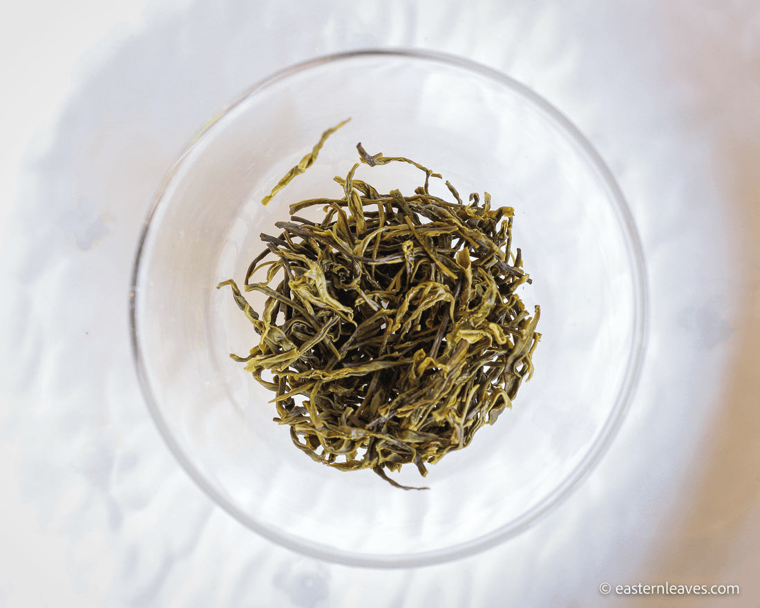 2022 Bug-bitten Huangdacha 虫咬黄大茶 - Yellow Tea - Eastern Leaves