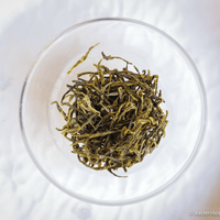 2022 Bug-bitten Huangdacha 虫咬黄大茶 - Yellow Tea - Eastern Leaves