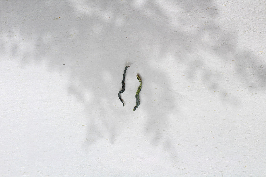 2022 Lu'an Guapian 六安瓜片 - Melon Seed - Eastern Leaves