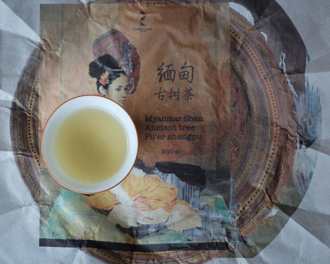 2022 Myanmar shan Shengpu - stone pressed cake - Eastern Leaves