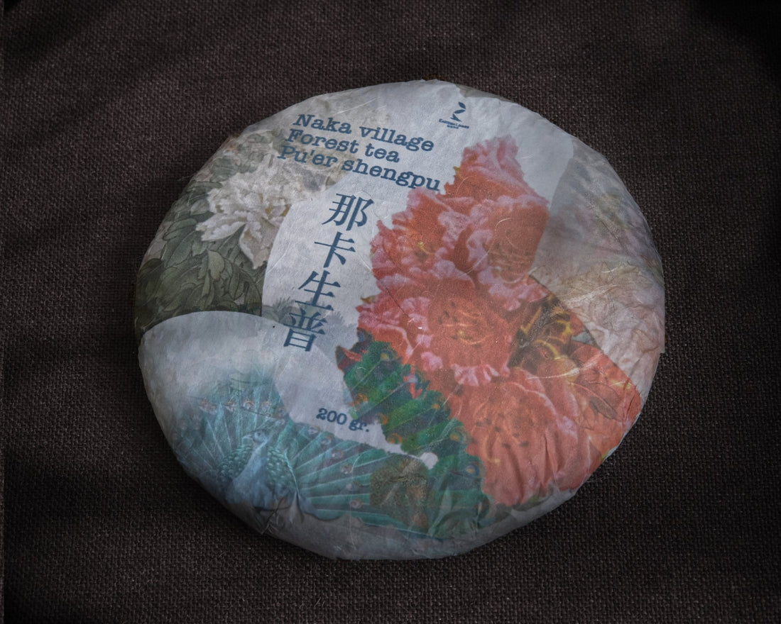 forest puh'er tea from Naka village, Yunnan, China, stone-pressed for collection, shengpu