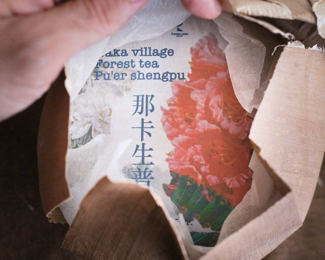 forest pu'er tea from Naka village, Yunnan, China, stone-pressed for collection, shengpu  in bamboo tong