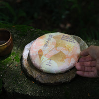 pu'er tea pressed in brick cake from Youle mountain, Yunnan, Xishuangbanna, fermented tea for collection with cup