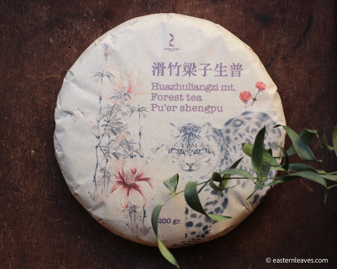 2023 Huazhuliangzi, Pu'er Shengpu - Eastern Leaves