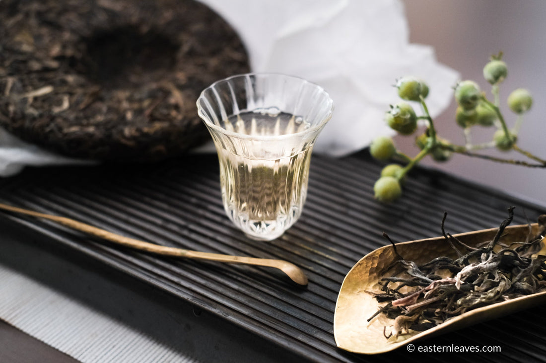 Pu'er shengpu blend in forest in pressed cake, from Yunnan, China, 2021 spring harvest vintage, Mangfei, Mannuo, Zhengkang