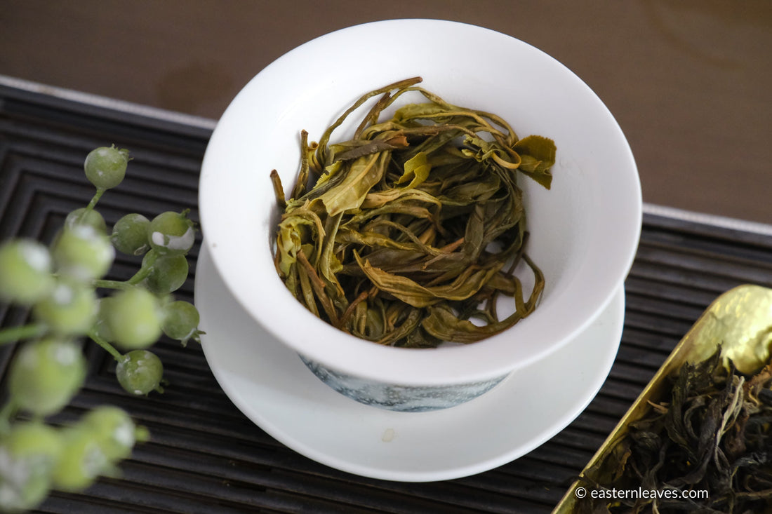 Pu'er shengpu blend in forest in pressed cake, from Yunnan, China, 2021 spring harvest vintage, Mangfei, Mannuo, Zhengkang