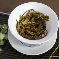 Pu'er shengpu blend in forest in pressed cake, from Yunnan, China, 2021 spring harvest vintage, Mangfei, Mannuo, Zhengkang