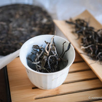 Pu'er shengpu blend in forest in pressed cake, from Yunnan, China, 2021 spring harvest vintage, Mangfei, Mannuo, Zhengkang