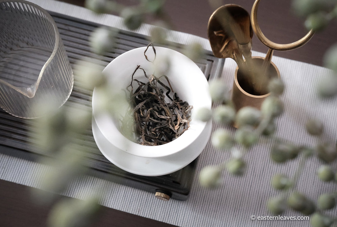 Pu'er shengpu blend in forest in pressed cake, from Yunnan, China, 2021 spring harvest vintage, Mangfei, Mannuo, Zhengkang