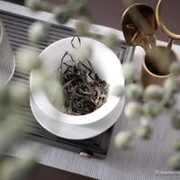 Pu'er shengpu blend in forest in pressed cake, from Yunnan, China, 2021 spring harvest vintage, Mangfei, Mannuo, Zhengkang
