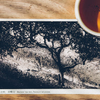 Gift Card - Eastern Leaves