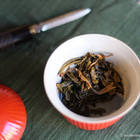 Pu'er shengpu blend in forest in pressed cake, from Yunnan, China, 2021 spring harvest vintage