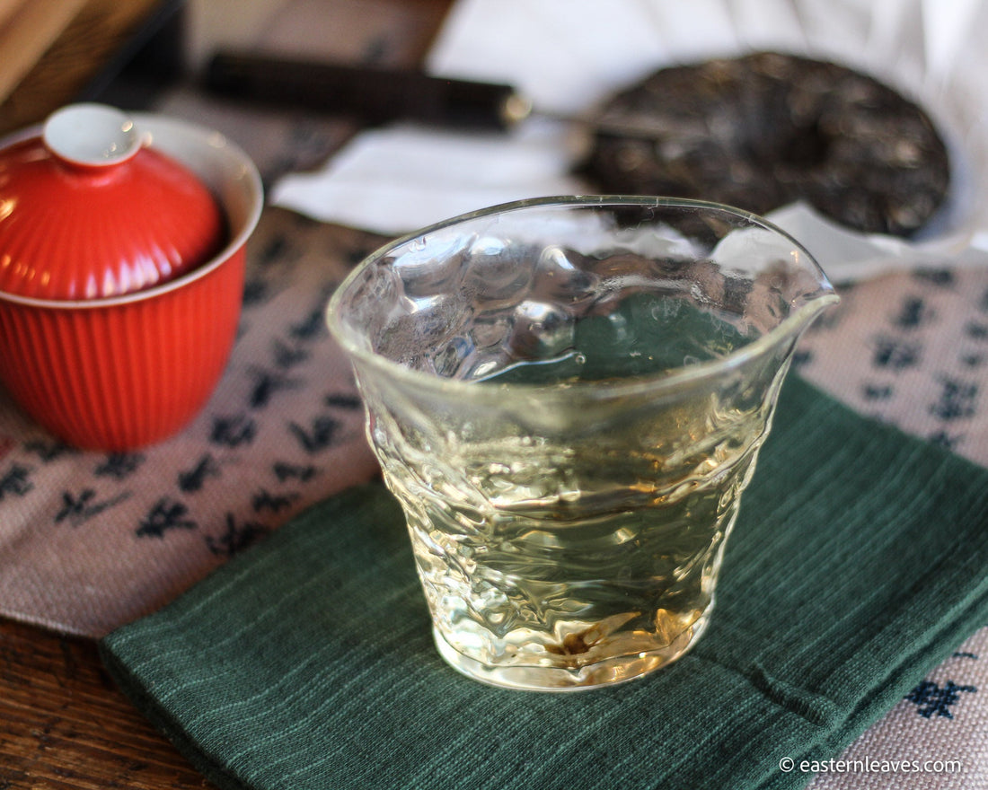 Pu'er shengpu blend in forest in pressed cake, from Yunnan, China, 2021 spring harvest vintage,  Mangfei, Mannuo, Zhengkang