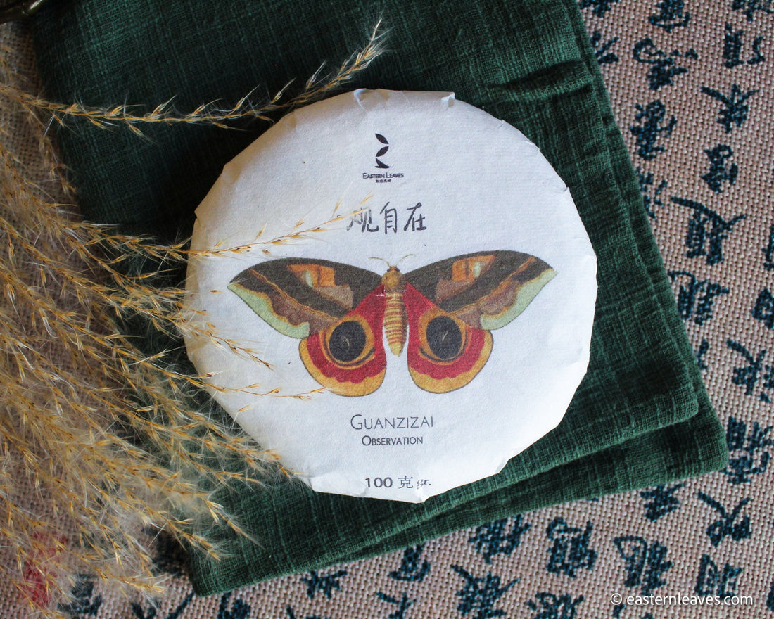 Pu'er shengpu blend in forest in pressed cake, from Yunnan, China, 2021 spring harvest vintage, Mangfei, Mannuo, Zhengkang