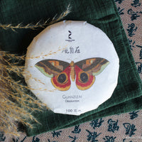 Pu'er shengpu blend in forest in pressed cake, from Yunnan, China, 2021 spring harvest vintage, Mangfei, Mannuo, Zhengkang