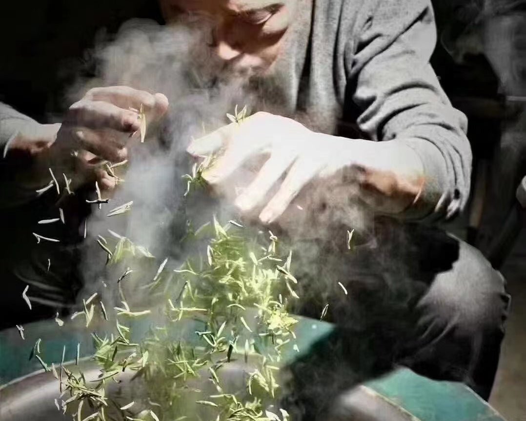 Mengding Huangya 蒙顶黄芽 - Yellow Tea - Eastern Leaves